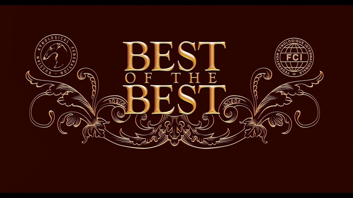 Best Plumber in Arnold Provides Top-Tier Local Plumbing Solutions